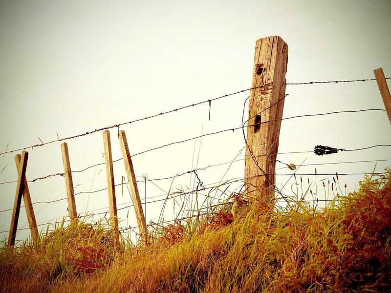 内存爆满全套<br>手机红条空间不足一站式解决